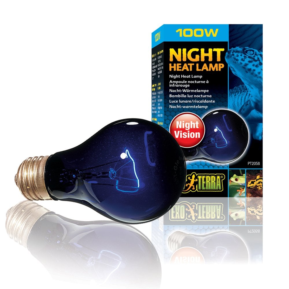 Night Heat Lamps