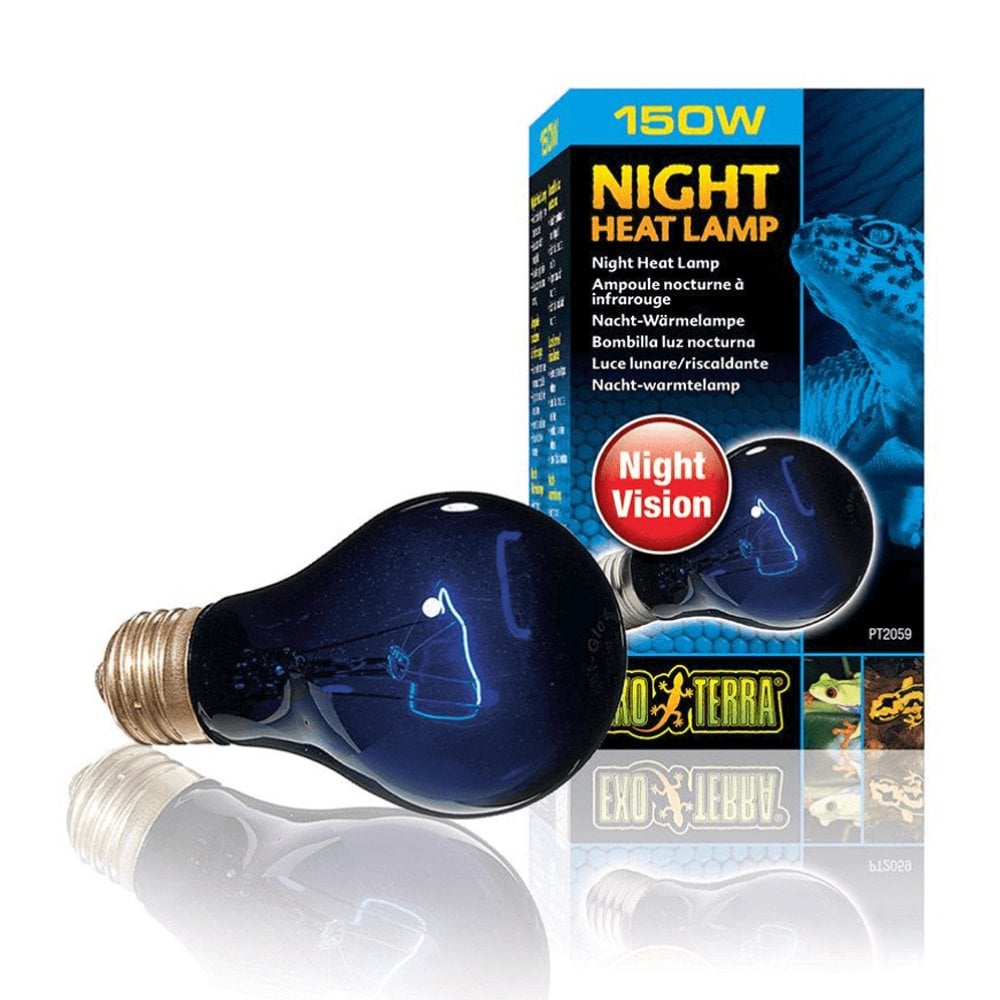 Night Heat Lamps