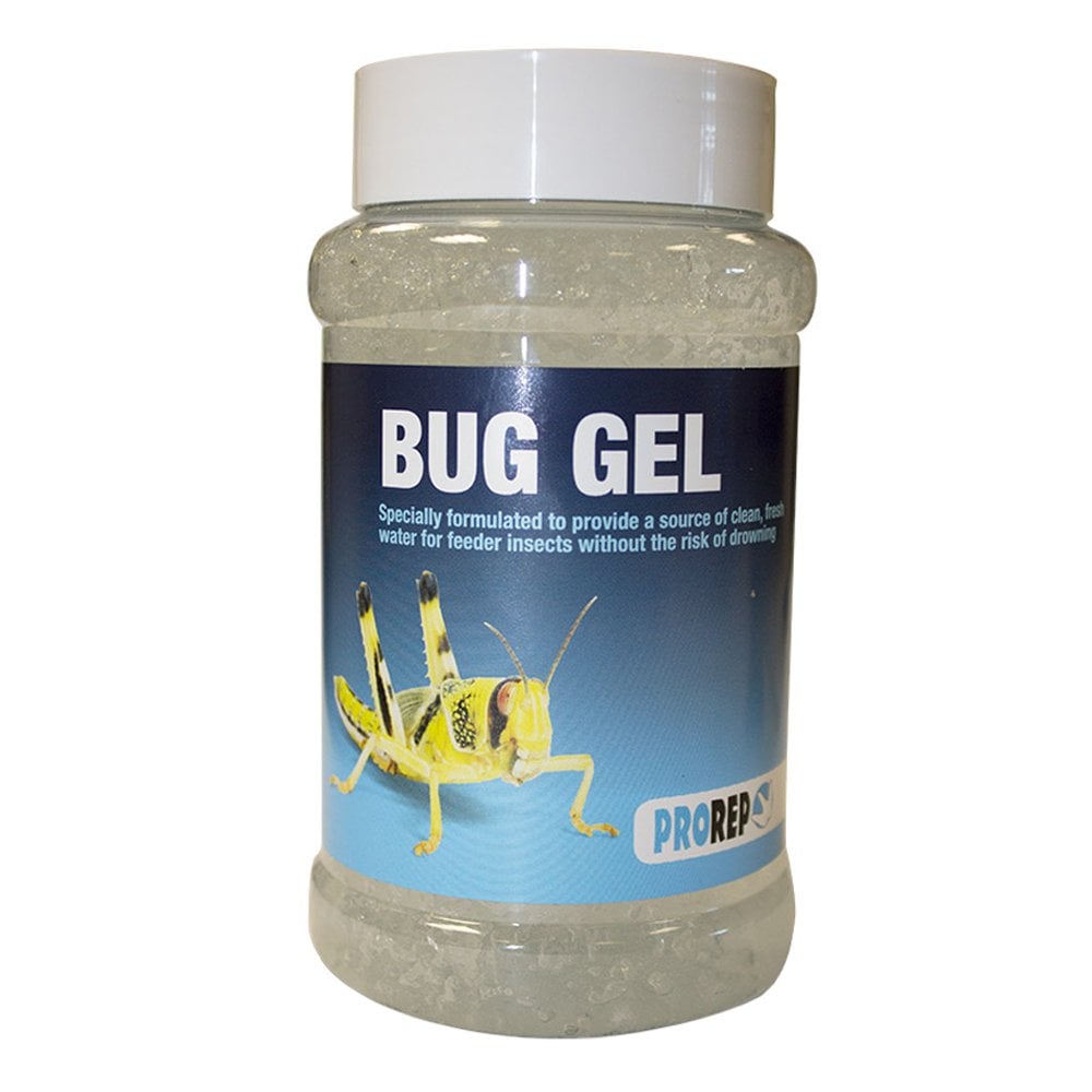 Bug Gel Jar Pack 500ml