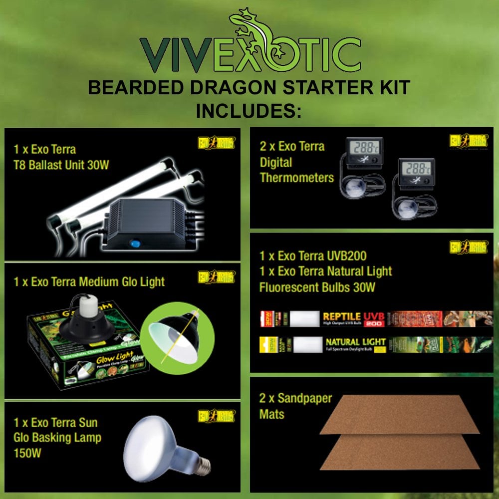 Bearded Dragon Starter Kit - Oak