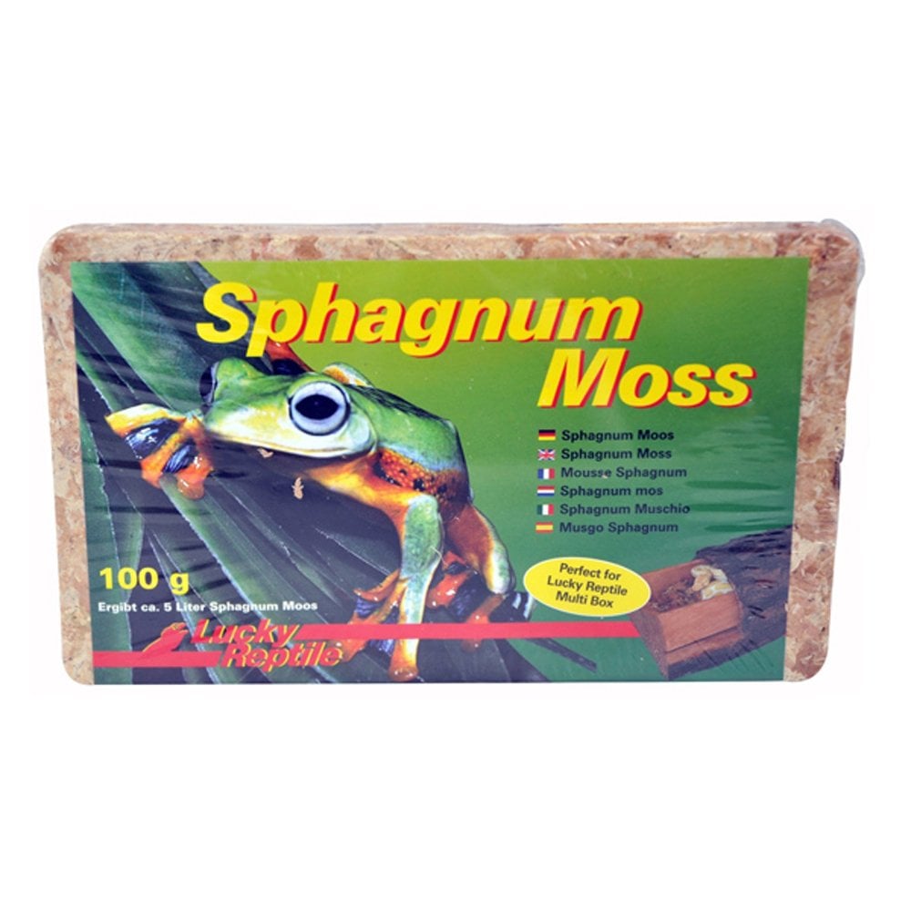 Sphagnum Moss brick 100g