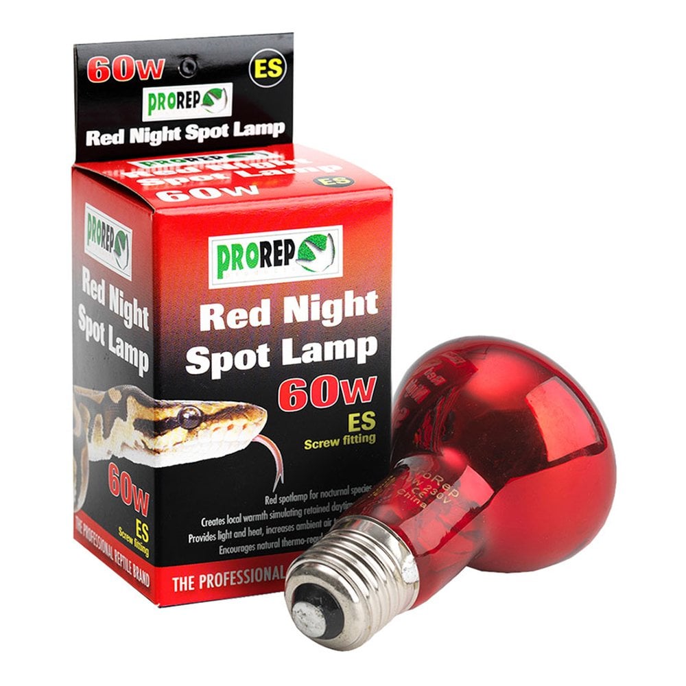 Red Night Spot Lamps ES