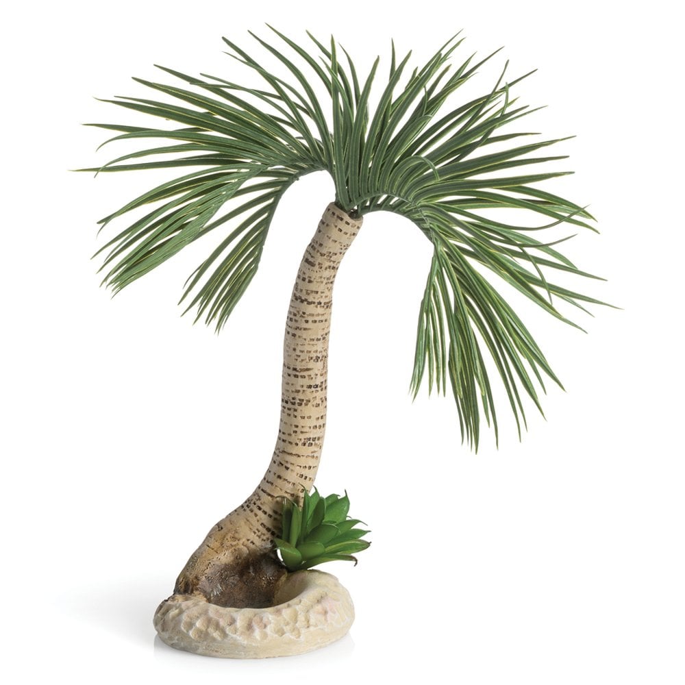 Palm Tree Seychelles Ornament - Large