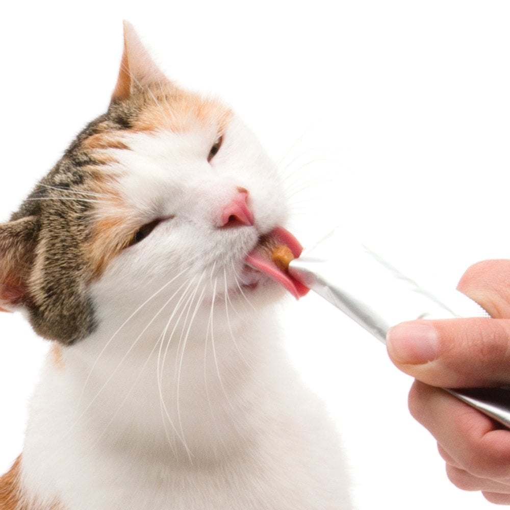 Creamy Lickable Cat Treats - Tuna (4pk)