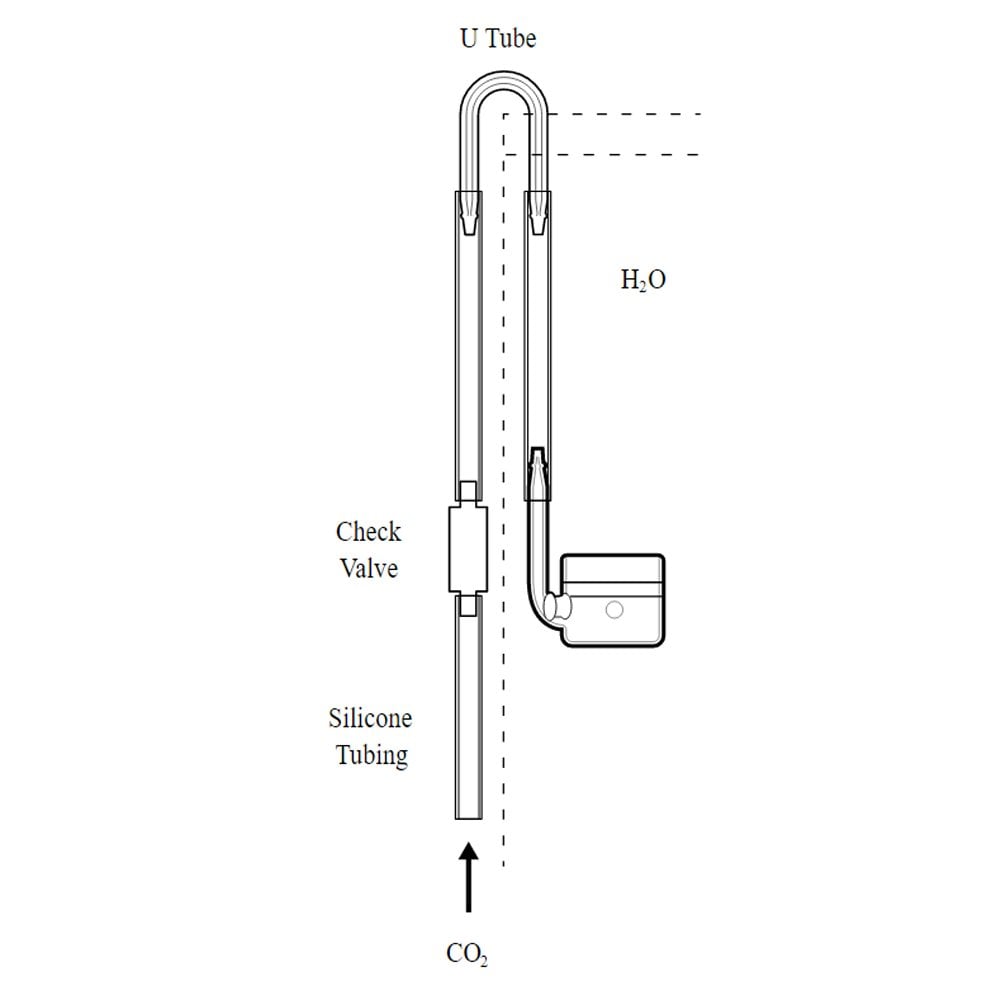 Glass Beetle CO2 Diffuser 30mm