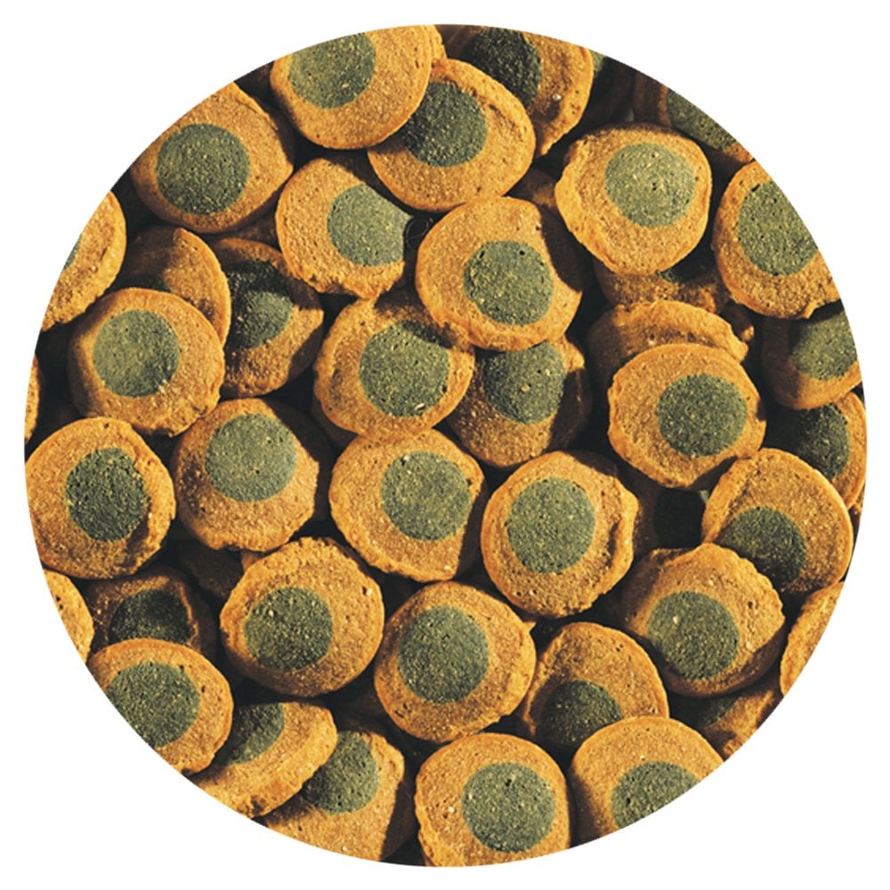 Pleco Spirulina Wafers