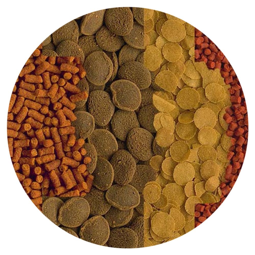 Crusta Menu 52g