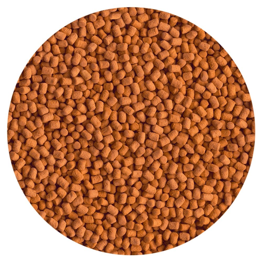 ReptoMin Energy 34g