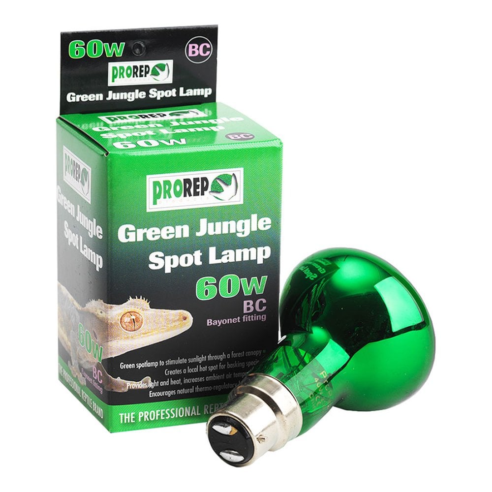 Green Jungle Spot Lamps BC