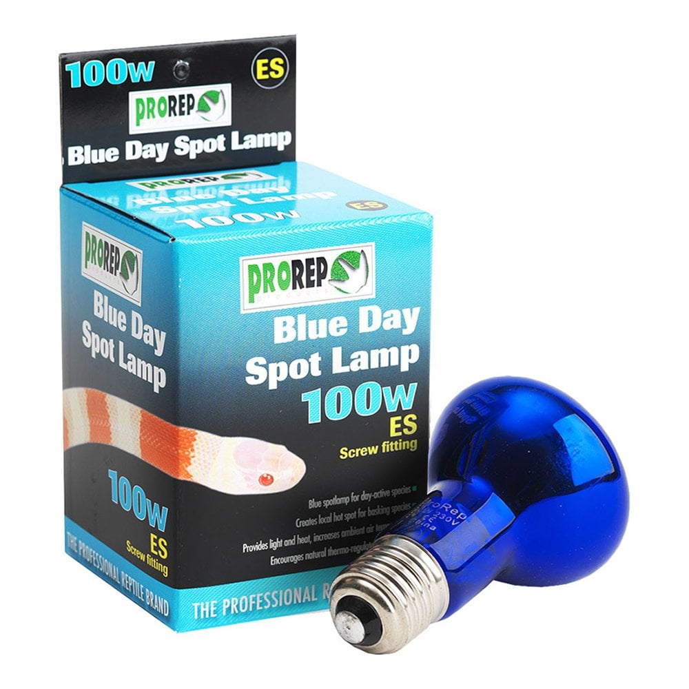 Blue Day Spot Lamps ES