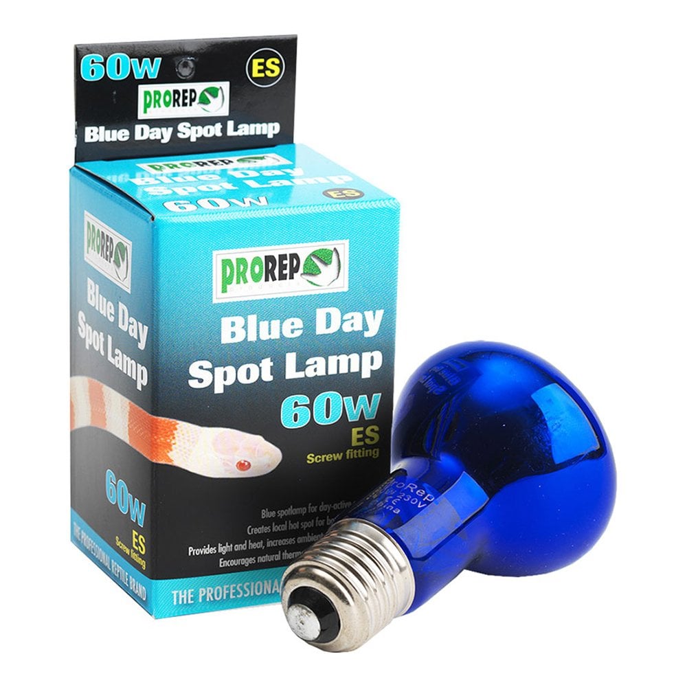 Blue Day Spot Lamps ES