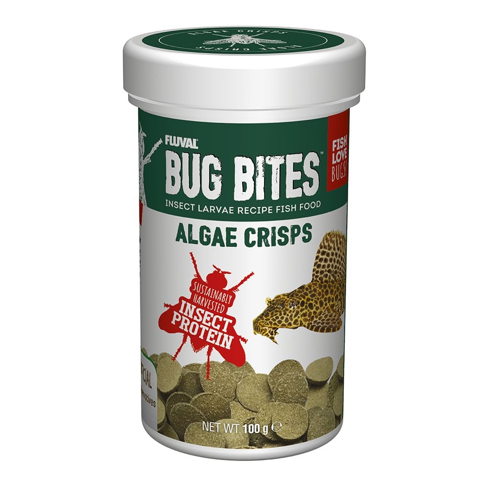 Bug Bites Algae Crisps
