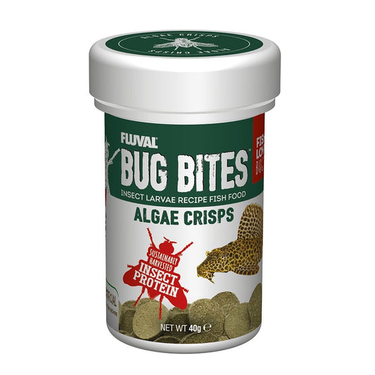 Bug Bites Algae Crisps