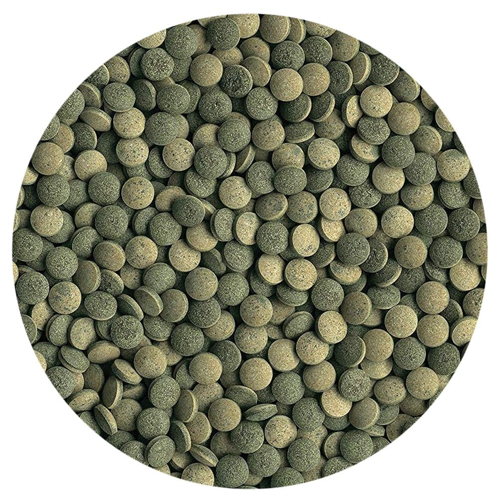 Pleco Tablets