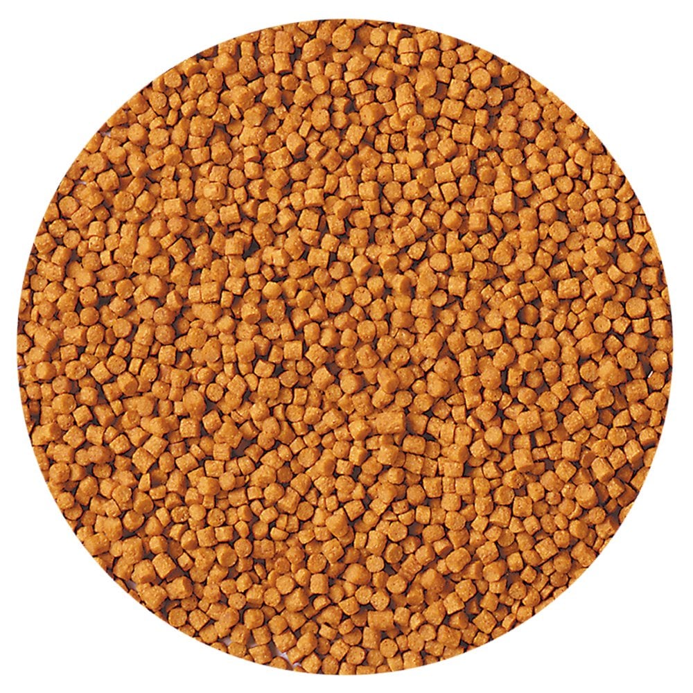 Goldfish Gold Growth