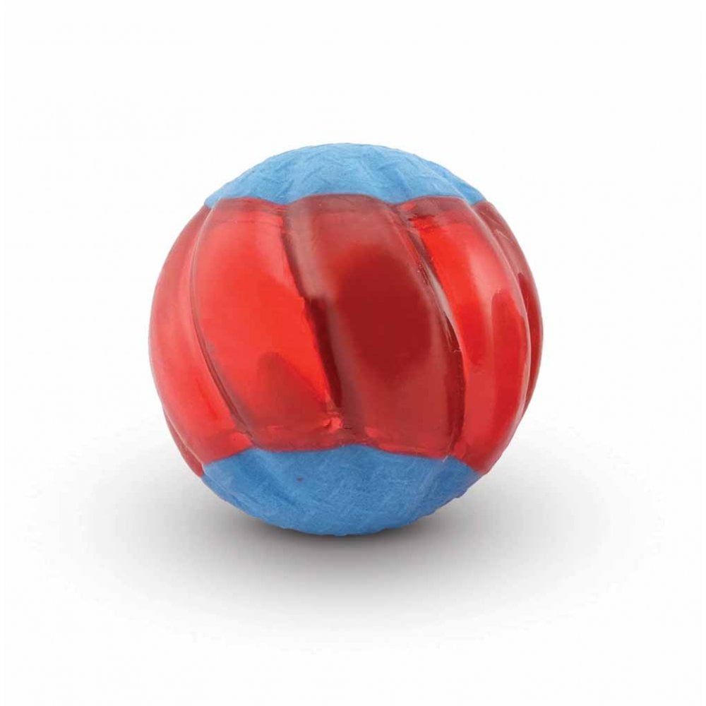 Duo Ball With Squeaker (2pk)