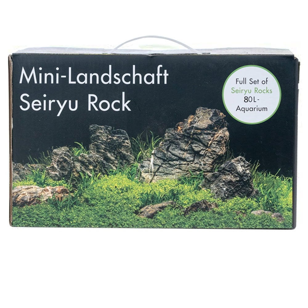 Seiryu Rock Deco Set