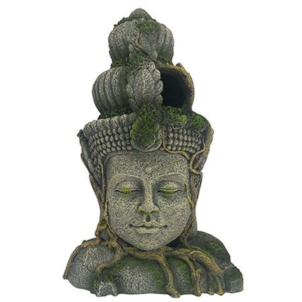 Aztec Figure Head Ruin