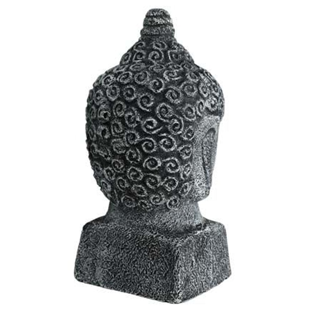Buddha Head
