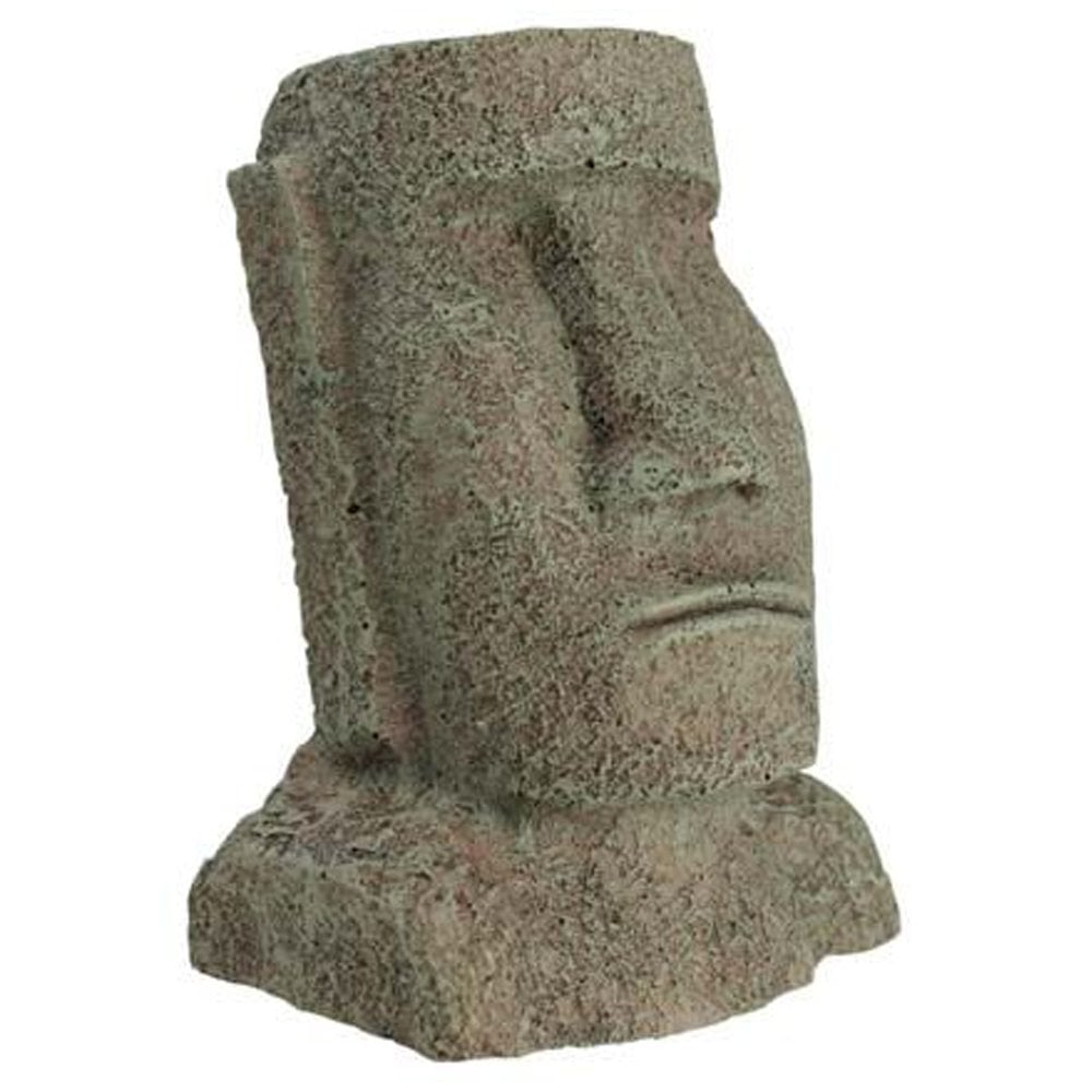 Easter Islander Head