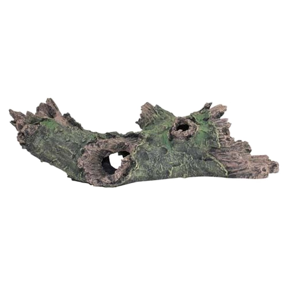 Jumbo Hollow Branch