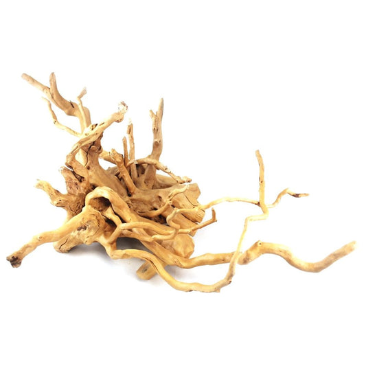 Natural Azalea Root
