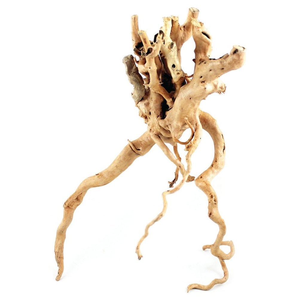 Natural Azalea Root