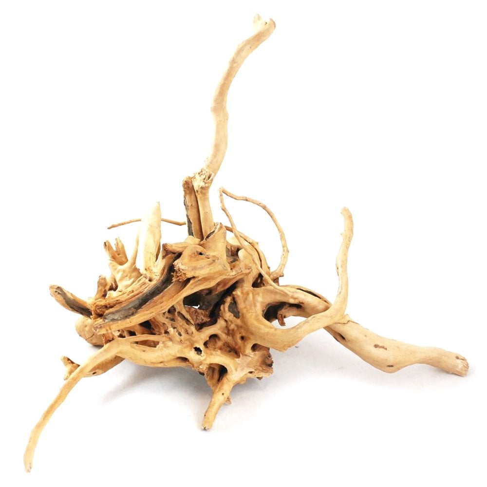 Natural Azalea Root