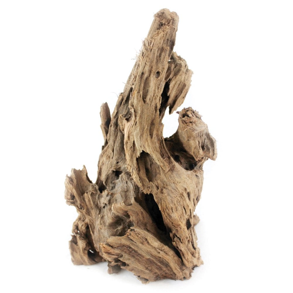 Natural Mangrove Root