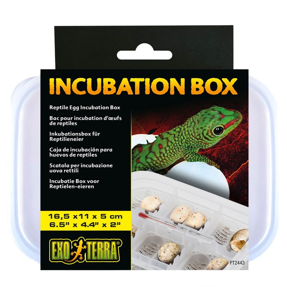 Incubation Box