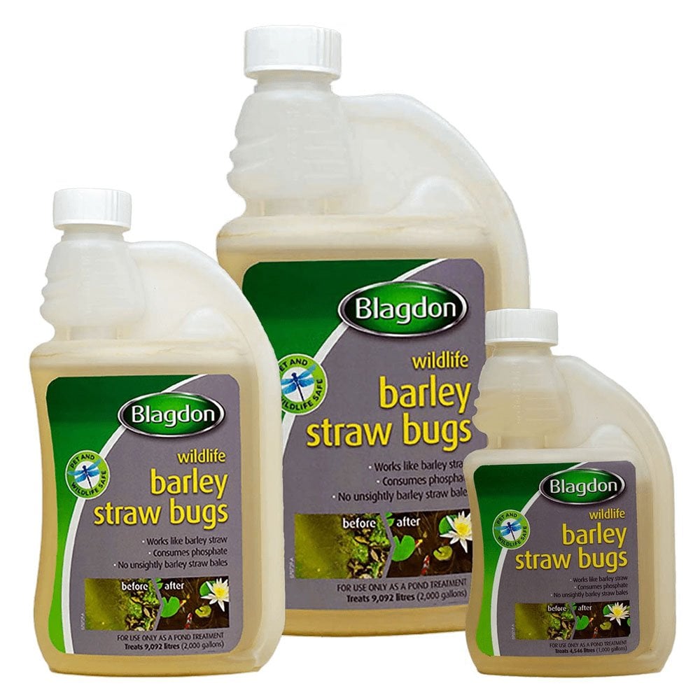 Wildlife Barley Straw Bugs