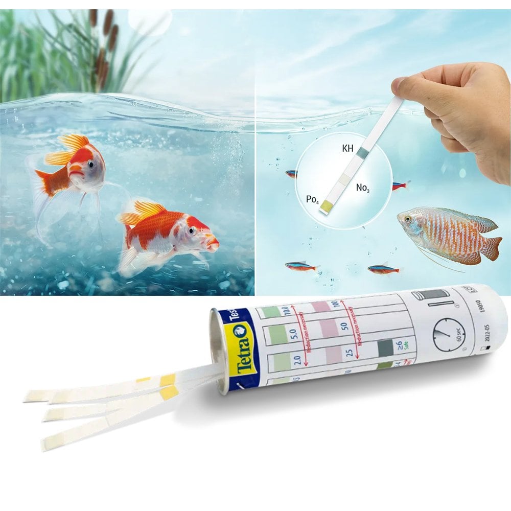 Test Algae Control 3in1 Water Test Kit
