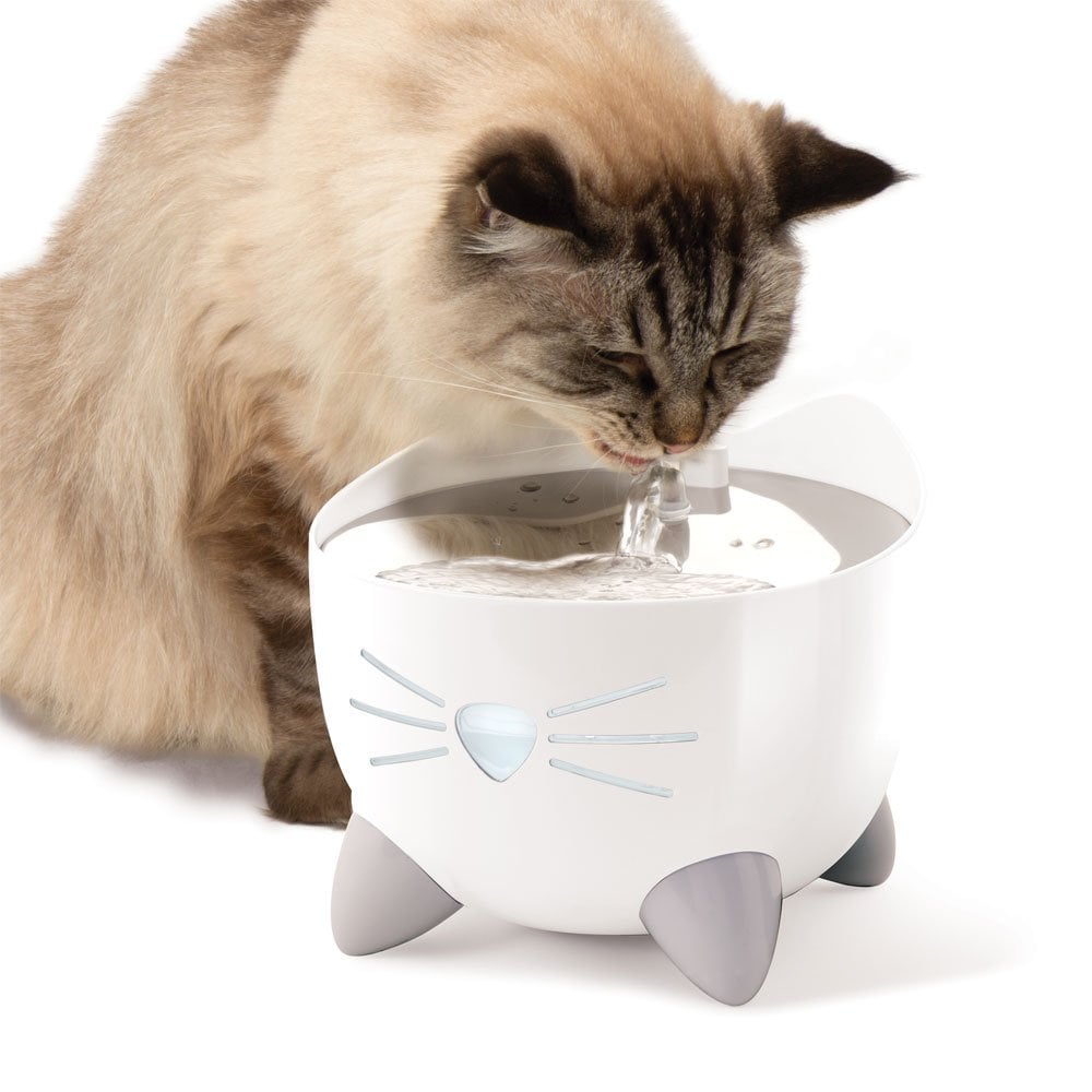 Pixi Smart Fountain