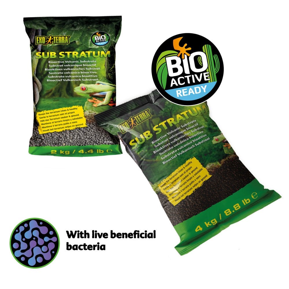Bioactive Volcanic Substrate