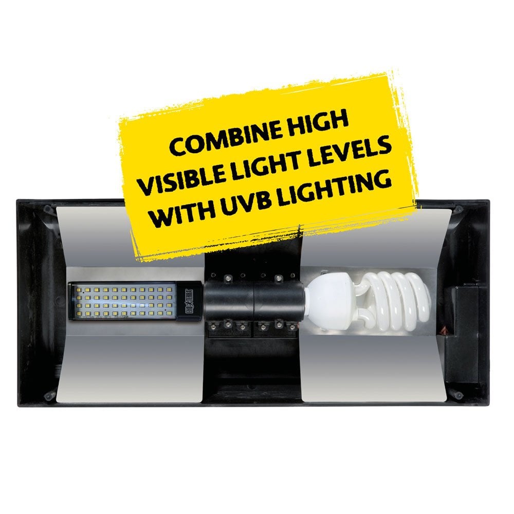 Deep Forest LED 8w