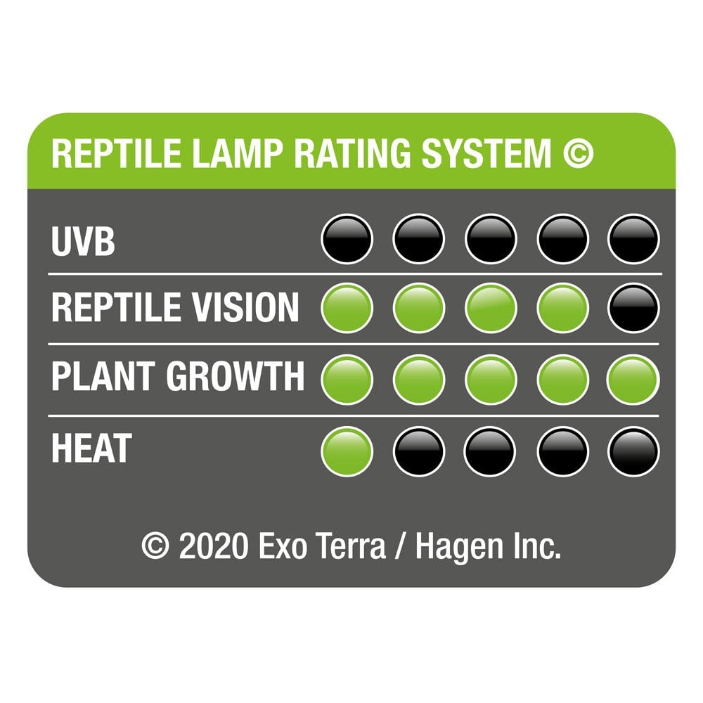 Deep Forest LED 8w