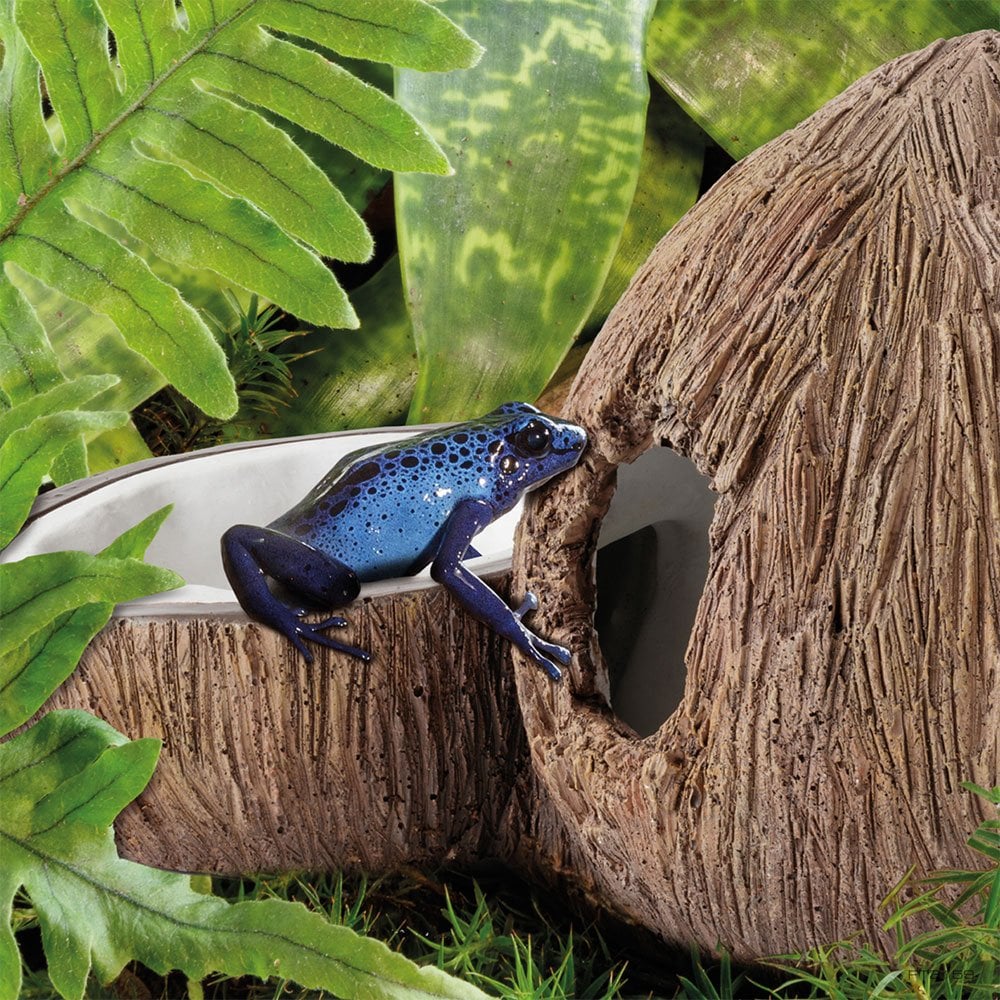 Coconut Hide & Water Dish