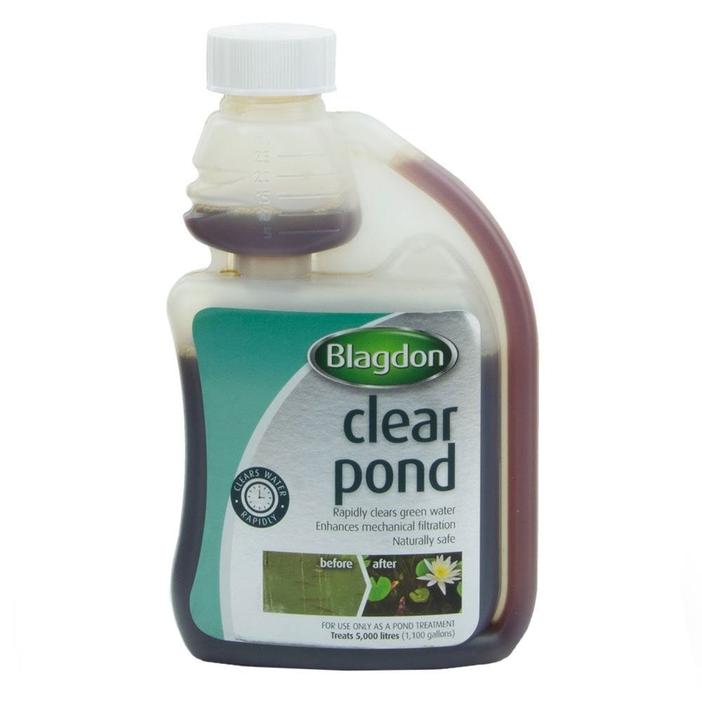 Clear Pond