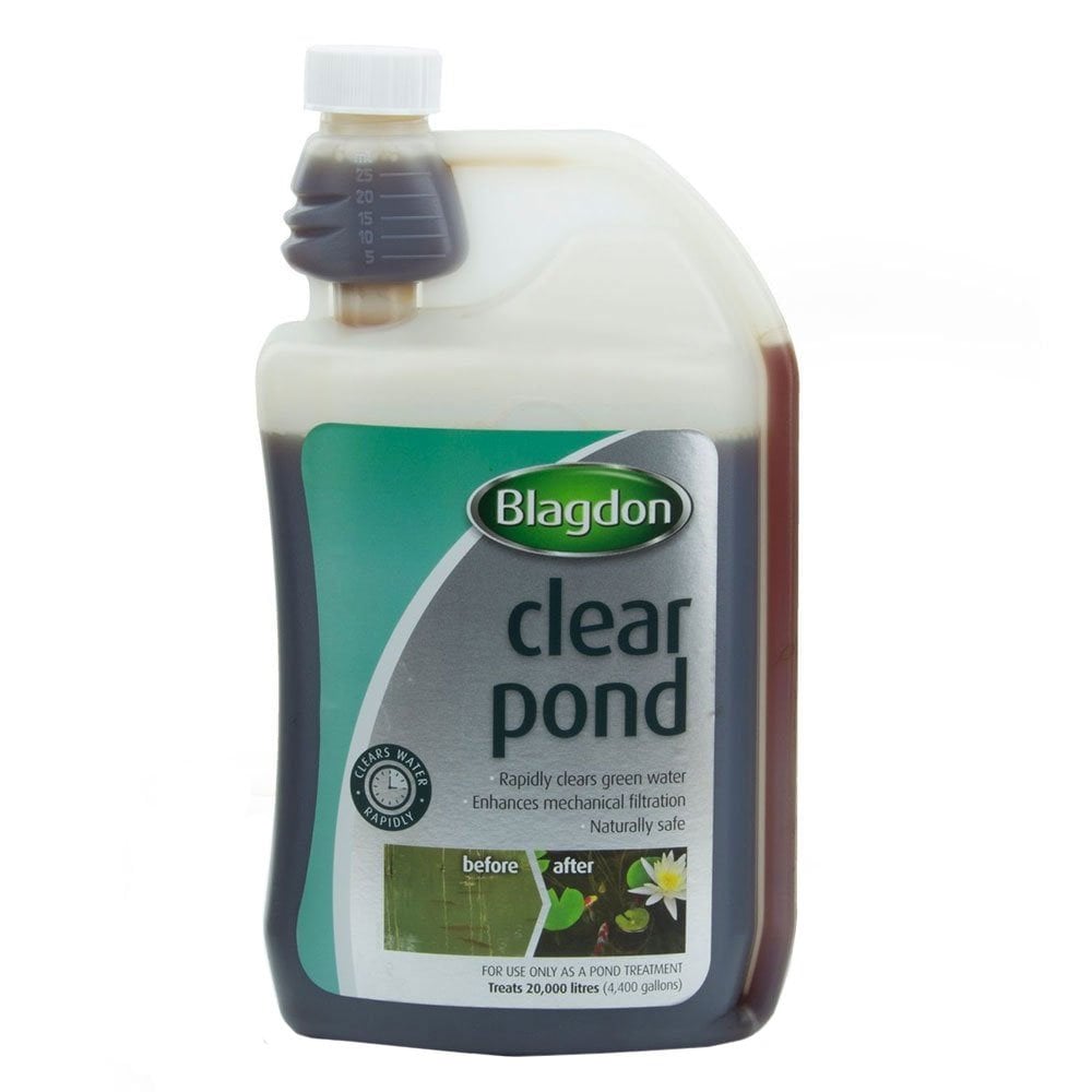 Clear Pond