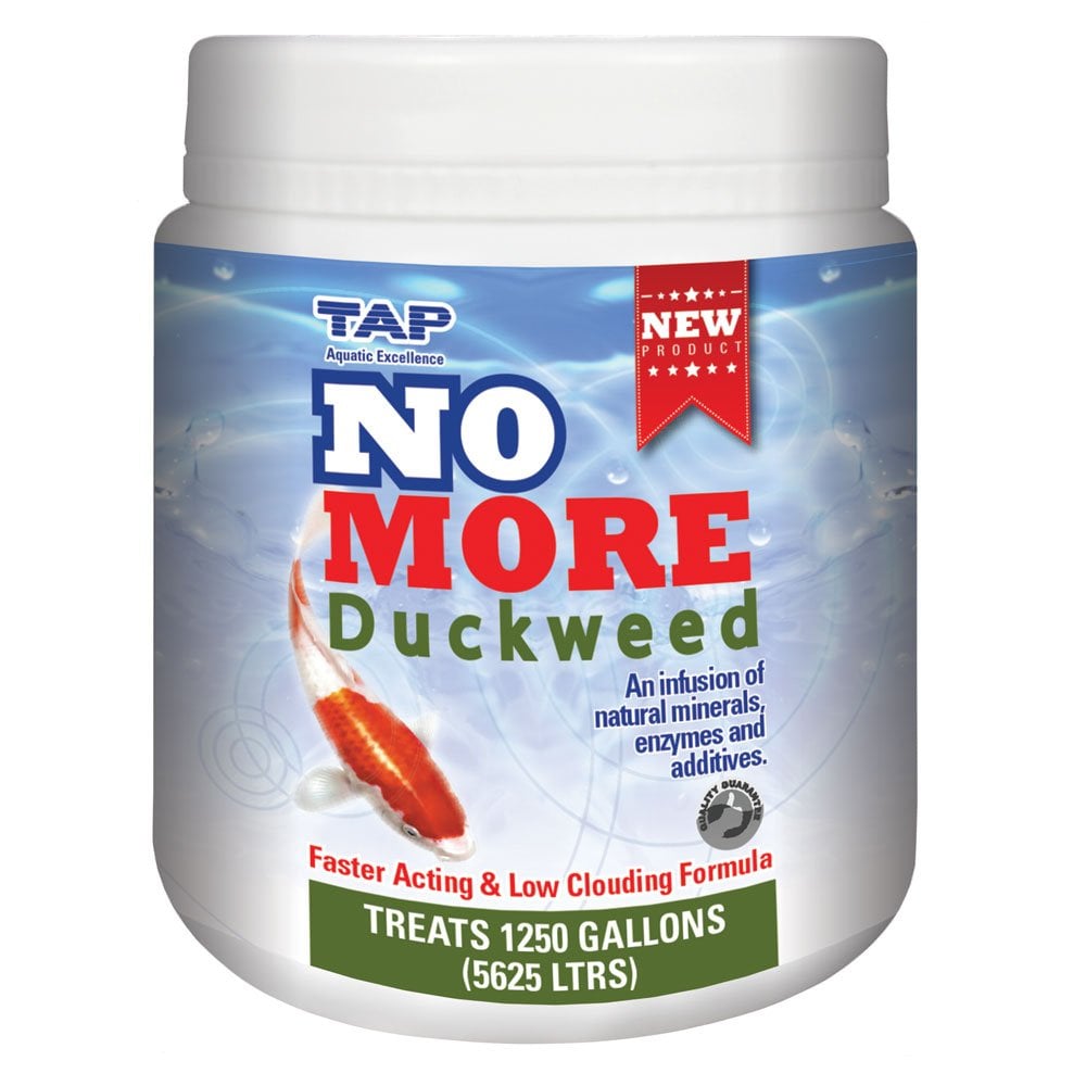 No More Duckweed
