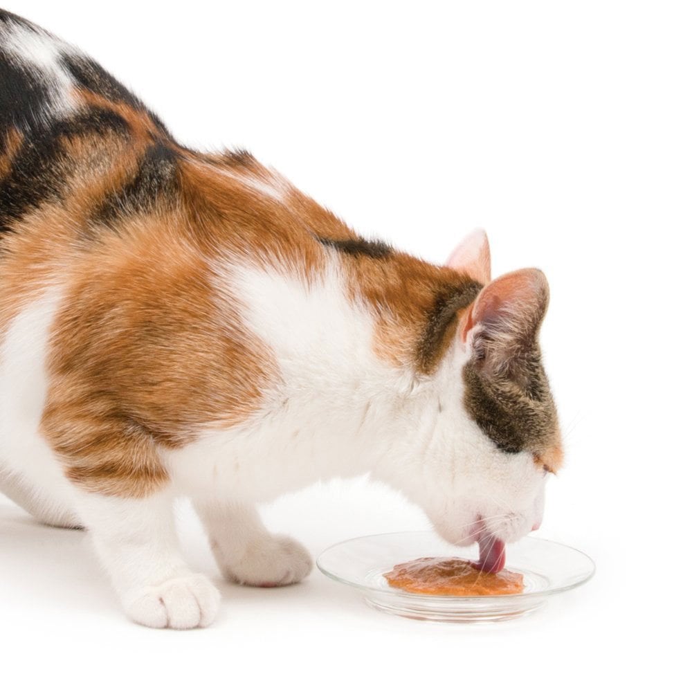 Creamy Lickable Cat Treats - Chicken & Lamb (50pk)