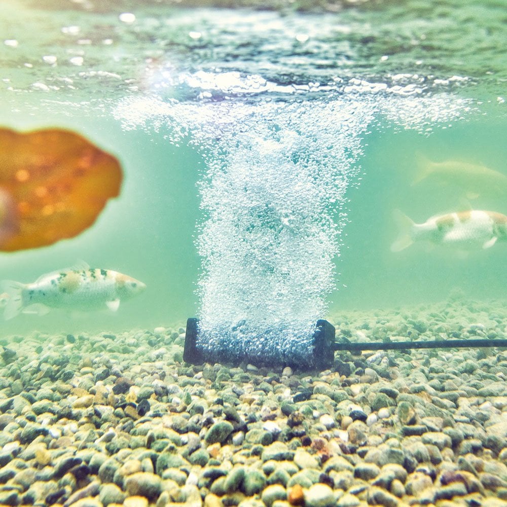 AquaOxy Aerator Bar - Small