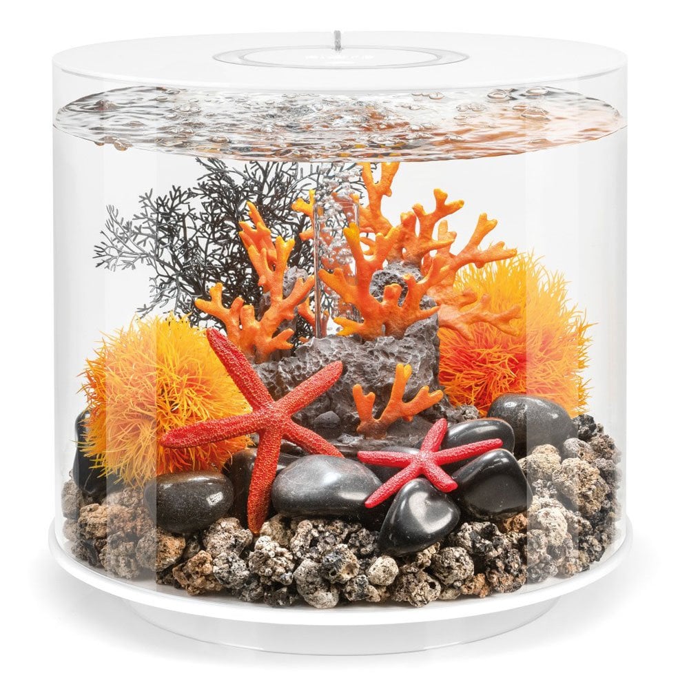 Decor Set - Orange Flames