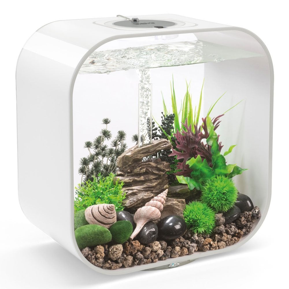 Decor Set - Rock Valley