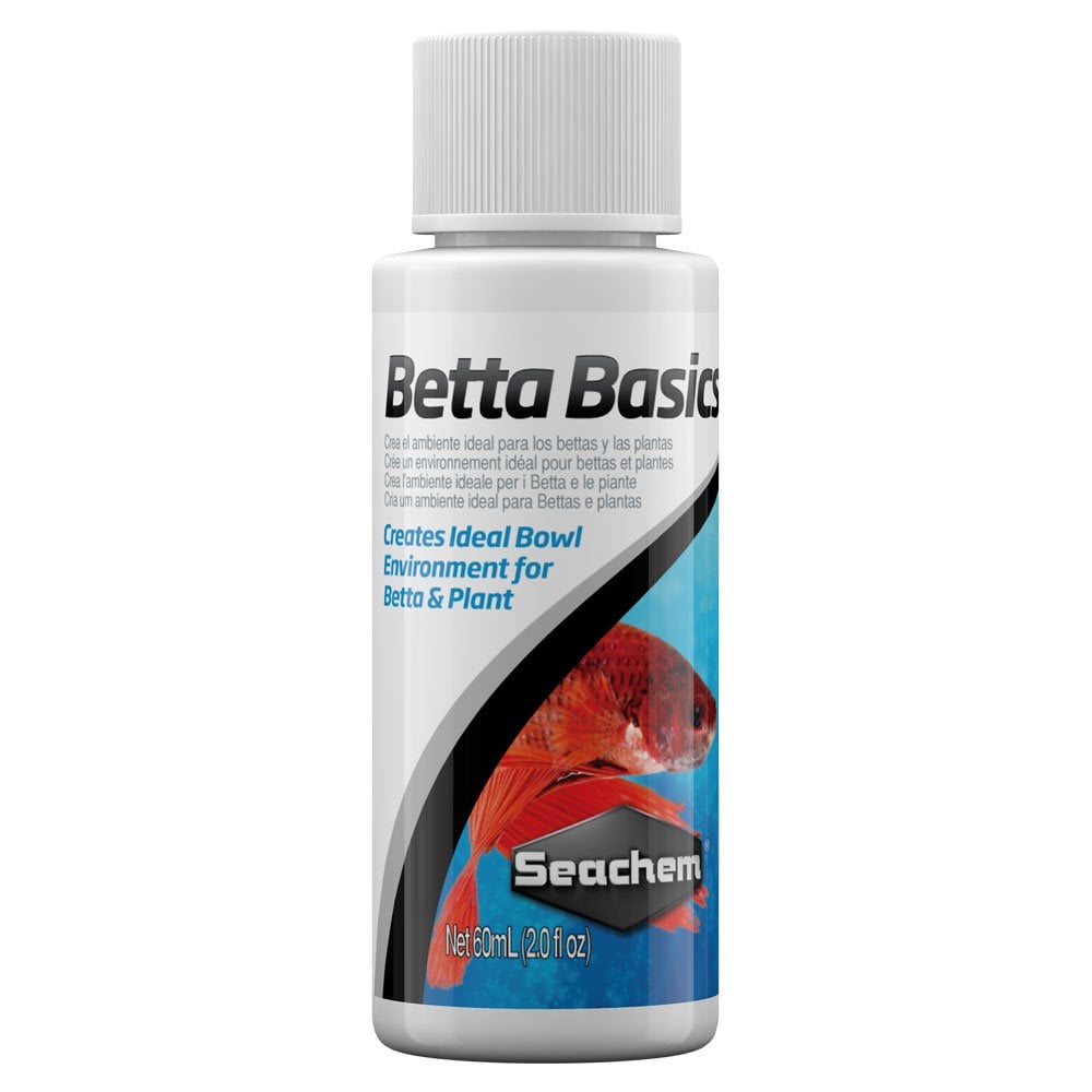 Betta Basics