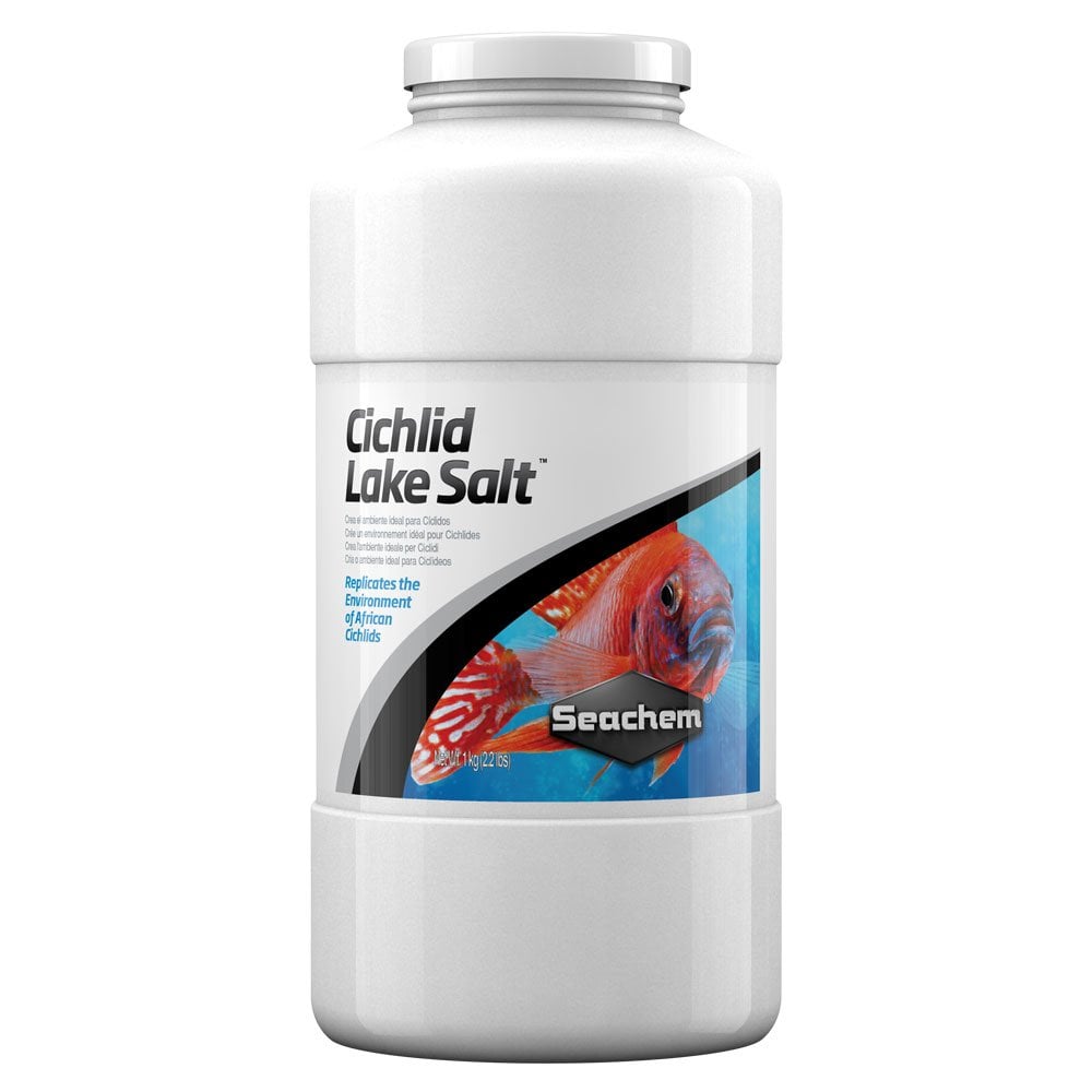 Cichlid Lake Salt