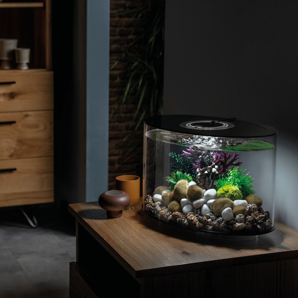LOOP 15 Aquarium MCR LED - Black