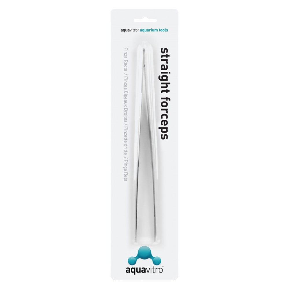 Straight Forceps 25cm