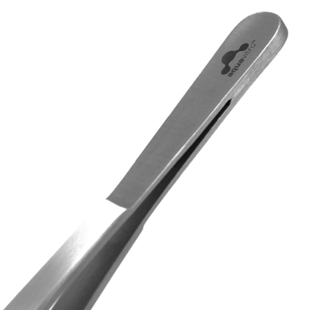 Straight Forceps 25cm