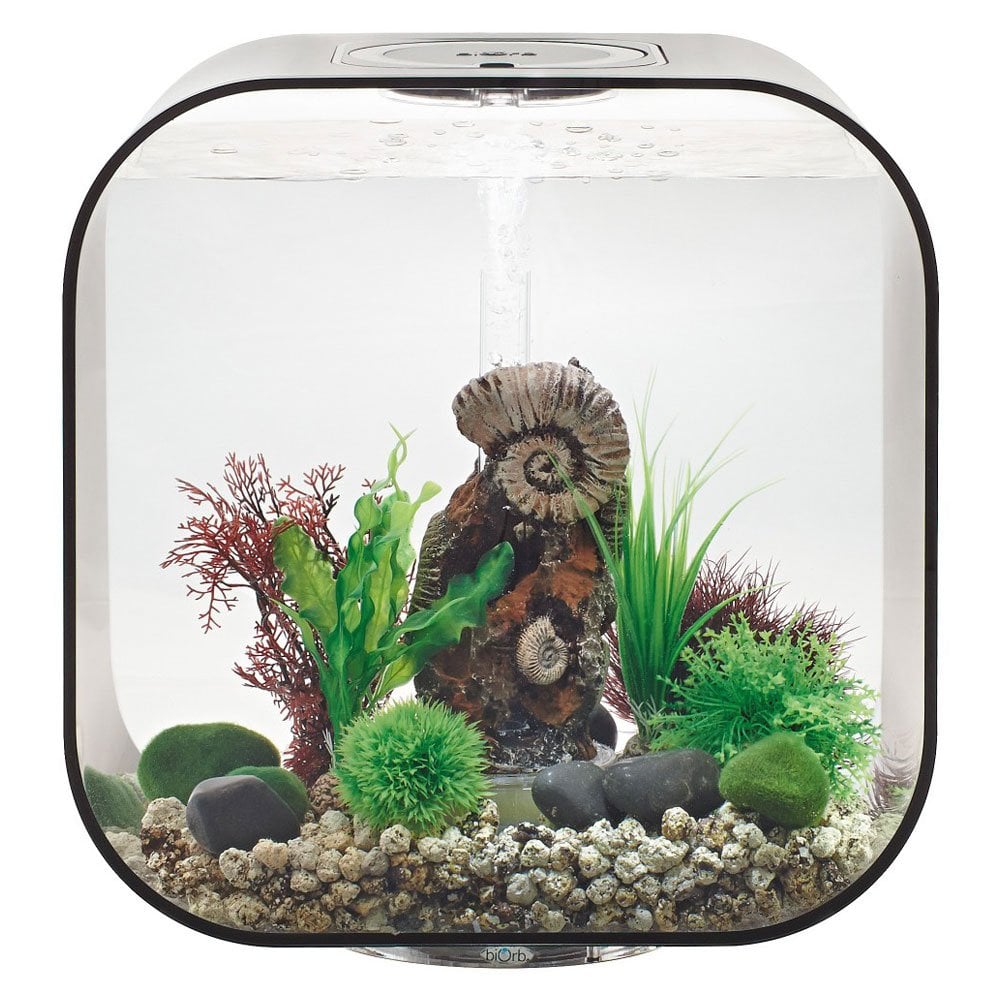 LIFE 30 Aquarium MCR LED - Black